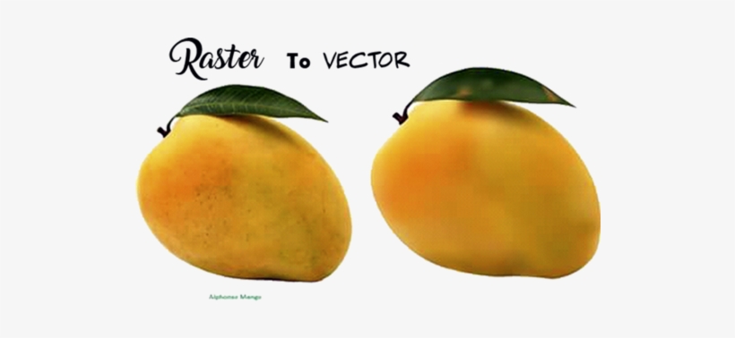 Freelance Trace Services Online - Clementine, transparent png download