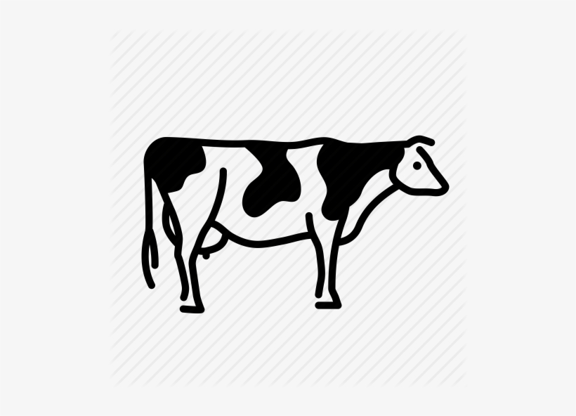 Cow - Cattle, transparent png download