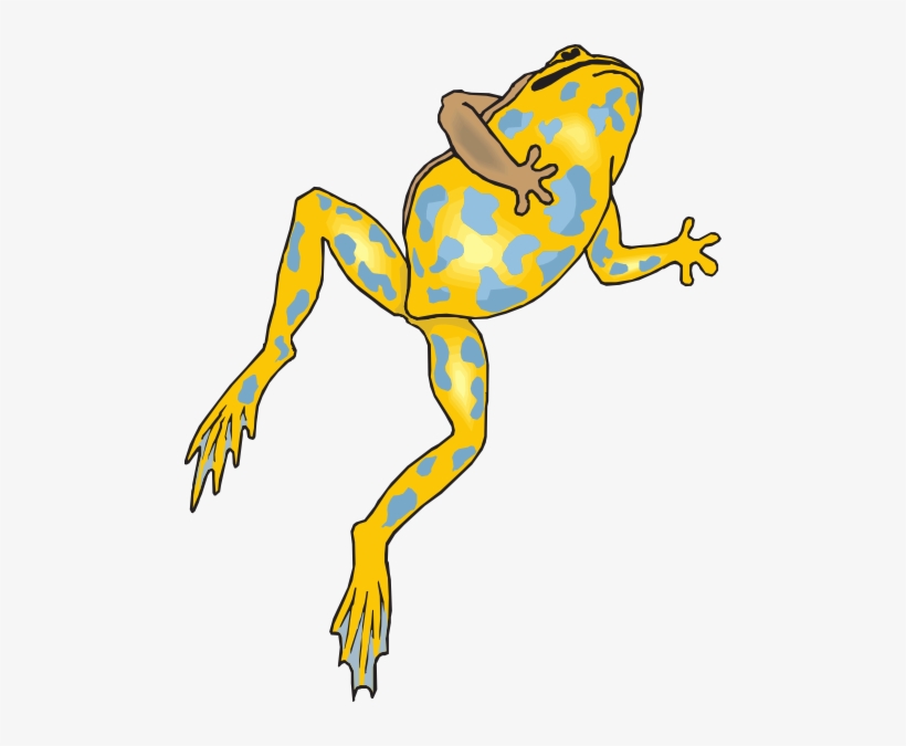 Yellow And Blue Frog Svg Clip Arts 486 X 595 Px, transparent png download