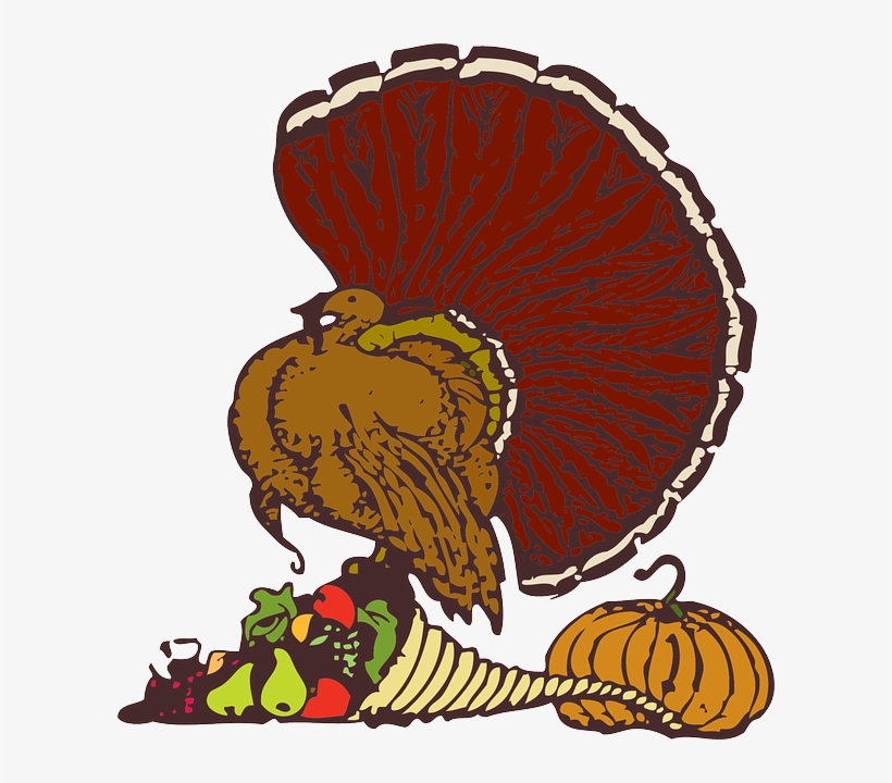 A Fading Turkey Tradition - Stuff It Throw Blanket, transparent png download