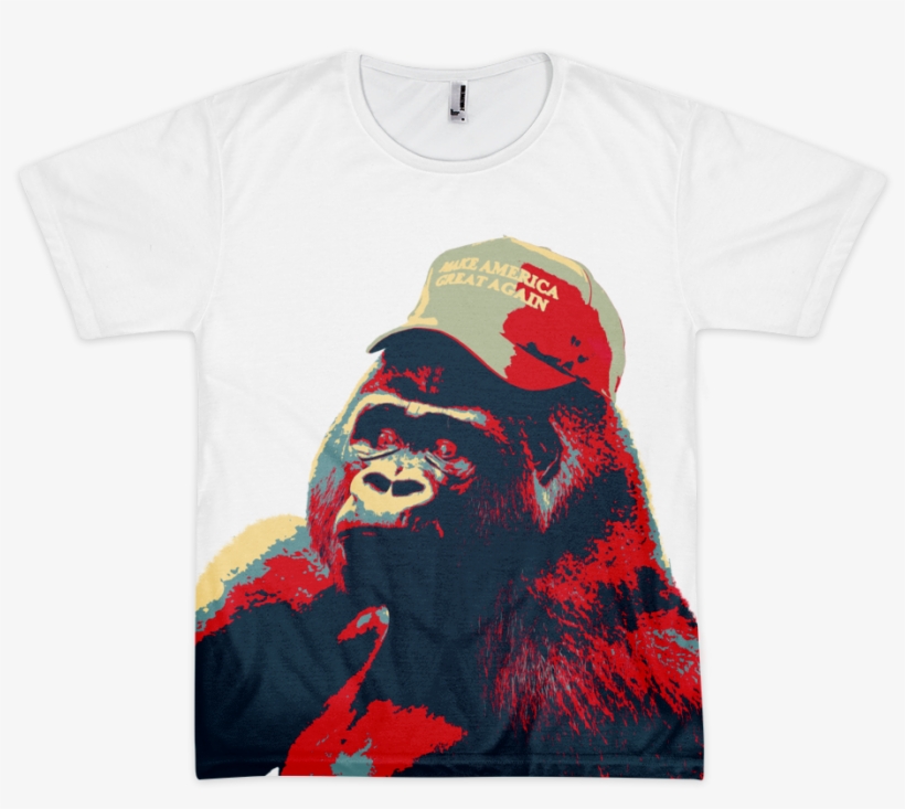 10 Dec - Common Chimpanzee, transparent png download