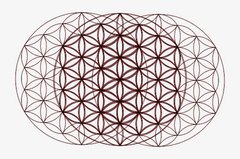Flower Of Life Optical Illusion - Blume Des Lebens Pattern, transparent png download