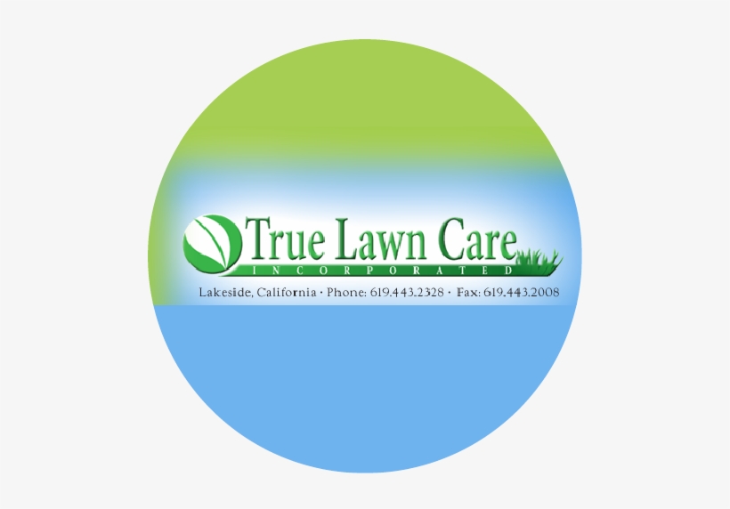Angela Andrews, Vice President, True Lawn Care, Inc, transparent png download