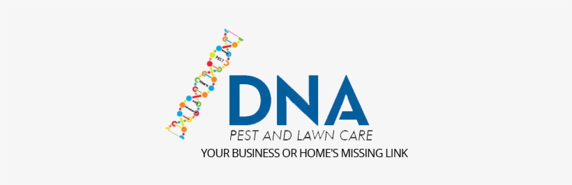 Follow - Dna Pest And Lawn Care, transparent png download