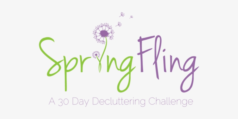 2017 Spring Fling Roundup - Advanced Nutrition Programme Accumax, transparent png download