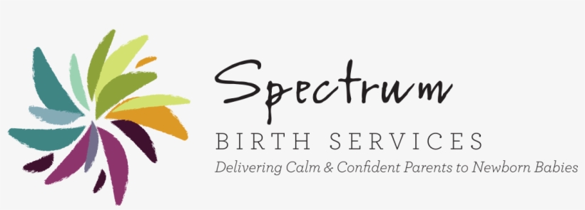 Spectrum Birth Services Spectrum Birth Services - Spectrum Birth Services, transparent png download