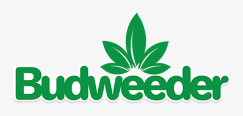 The Harborside Rewards Program Allows Our Recurring - Tp-link, transparent png download