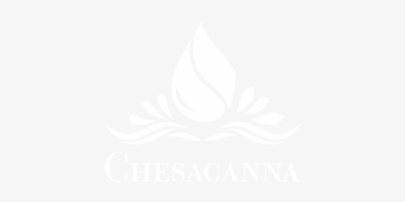 Are You Over The Age Of - Illustration, transparent png download