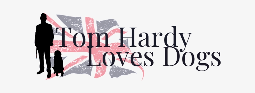 “professional Liar” Tom Hardy Knows How To Handle Hollywood's - Brexit Political T-shirt For The United Kingdom Eu, transparent png download