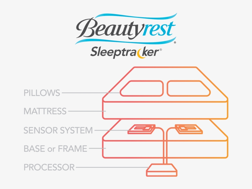 Buy A Beautyrest Beautyrest Sleeptracker From Local - Beautyrest Orthopaedic Wedge Pillow, transparent png download