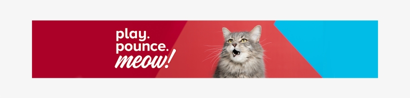 Profile Cover Photo - Google+, transparent png download