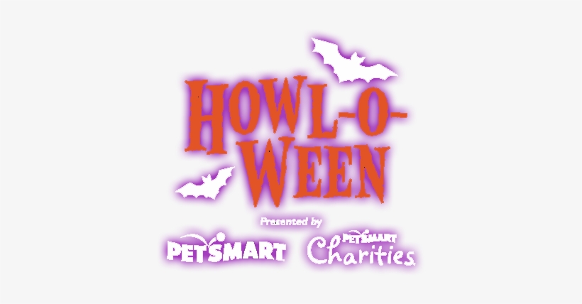 On Saturday And Sunday October 27th And 28th, The Phoenix - Graphic Design, transparent png download