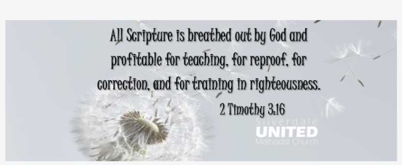 Fb Banner 2 Timoty - Silverdale United Methodist, transparent png download