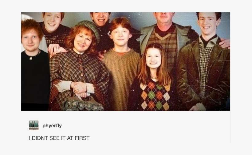 23 Perfect Thoughts Tumblr Has Had About The Weasleys - Ed Sheeran And The Weasleys, transparent png download