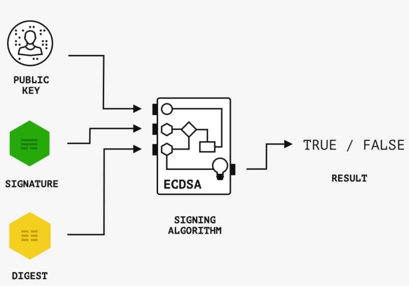 The Corresponding Public Key Can Then Be Used To Verify - Diagram, transparent png download