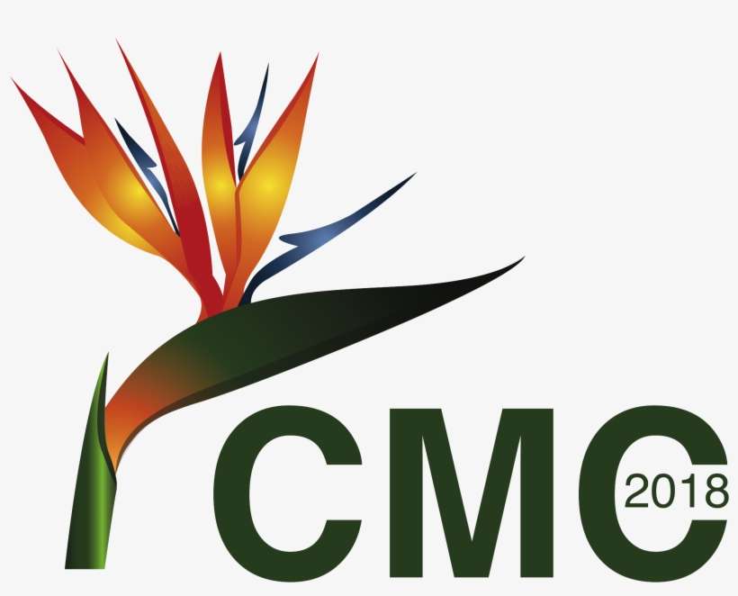 Bird Of Paradise, transparent png download