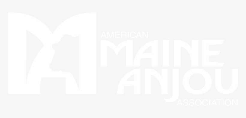 Amaa Registration Information - Maine-anjou Cattle, transparent png download