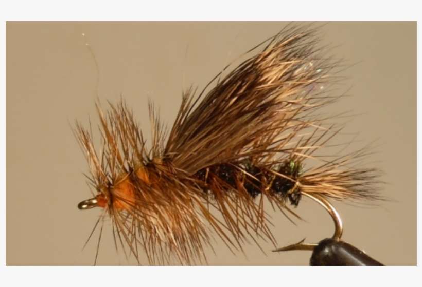 Stimulator - Peacock - Bait Fish, transparent png download