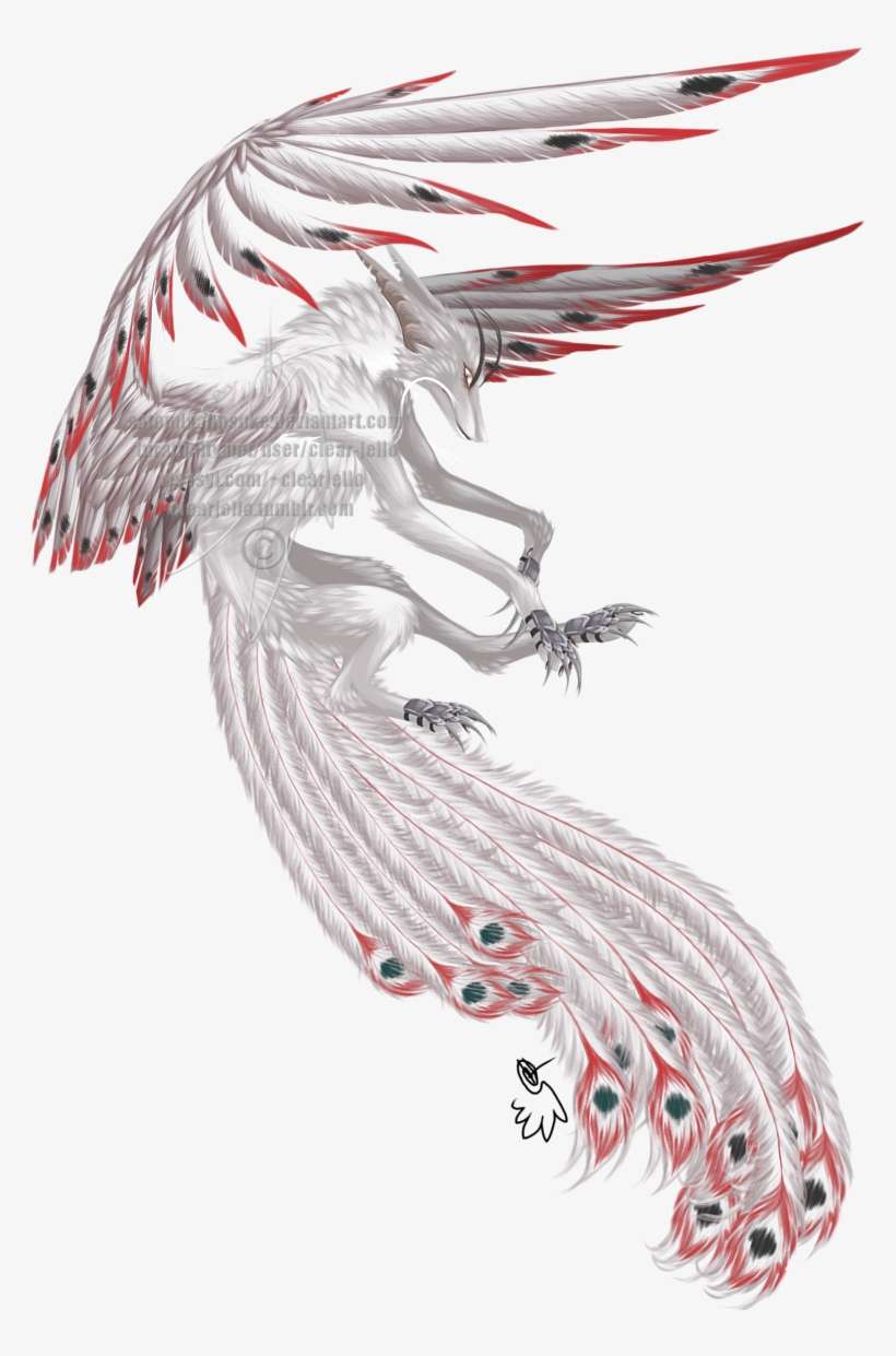 Year Of The Peacock, transparent png download