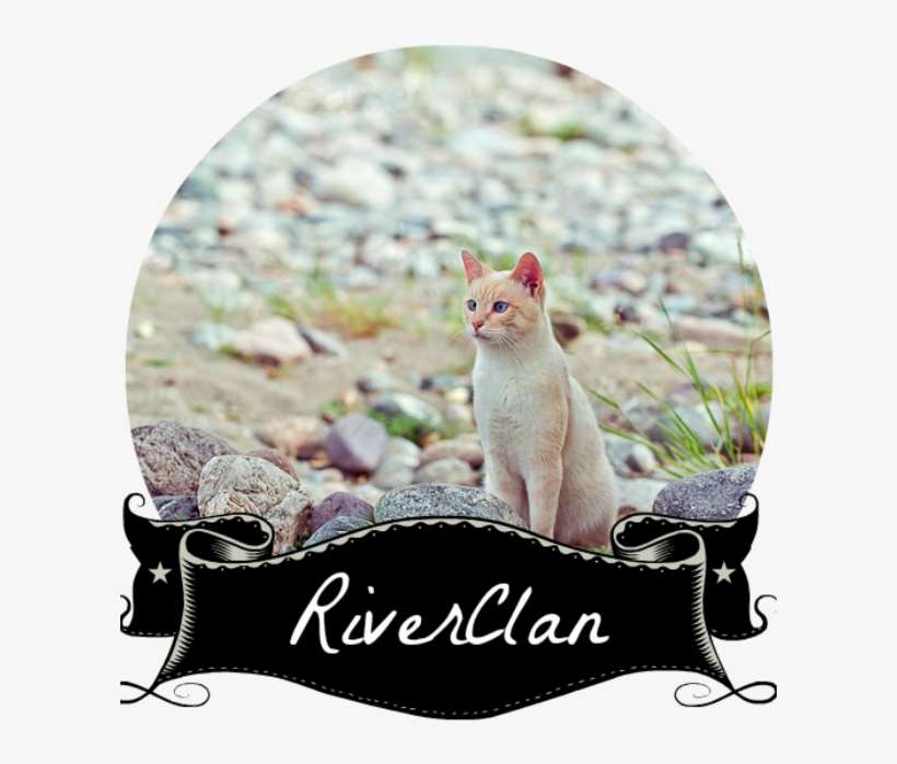 Rcb - 3drose Lsp 212211 2 Dad - Est. 2014 - Double Toggle, transparent png download