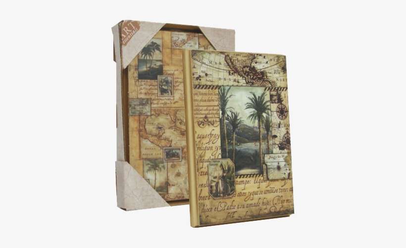 Palm Collage - Art Print: Hoglund's Tropical, 7x5in., transparent png download