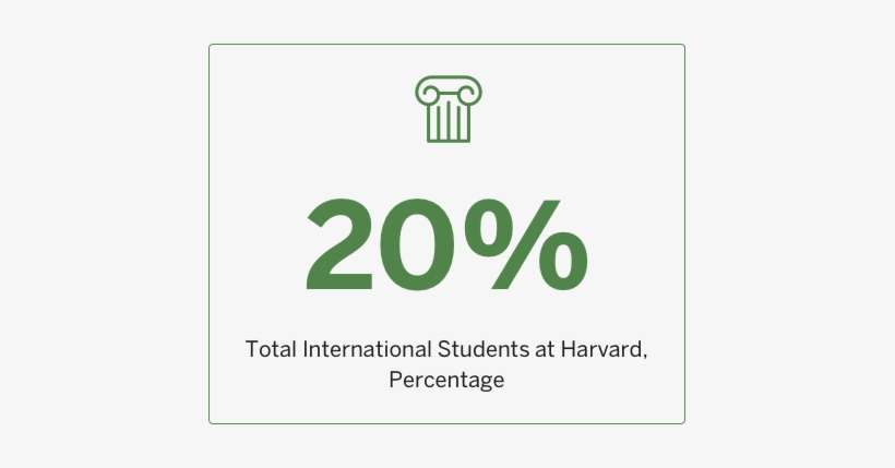 2007 Total International Students At Harvard, Percentage - Student, transparent png download