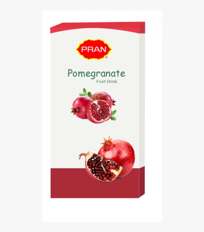 Coco Amo Pure Sulfate-free Shampoo 8 Ounce, transparent png download