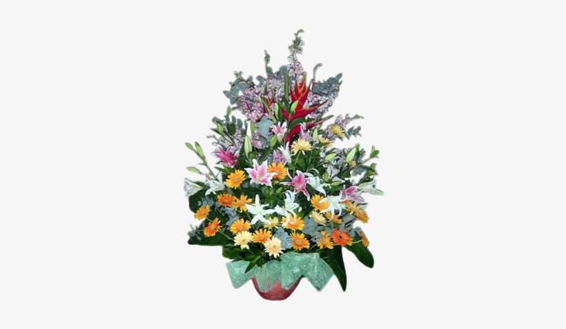 Send Flowers To Philippines - Carnation And Orchid Floral Arrangements, transparent png download