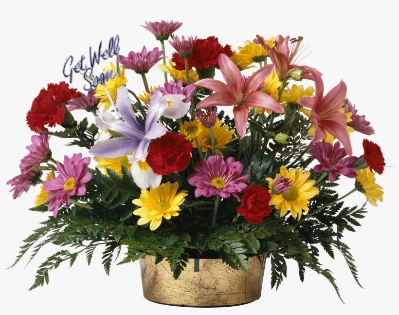 Gifs Y Fondos Pazenlatormenta - Новые Поздравления На Все Случаи Жизни, transparent png download