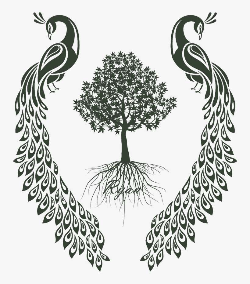Join Us For The 3rd Annual Peacock Invitational On - Transparent Tree With Roots, transparent png download
