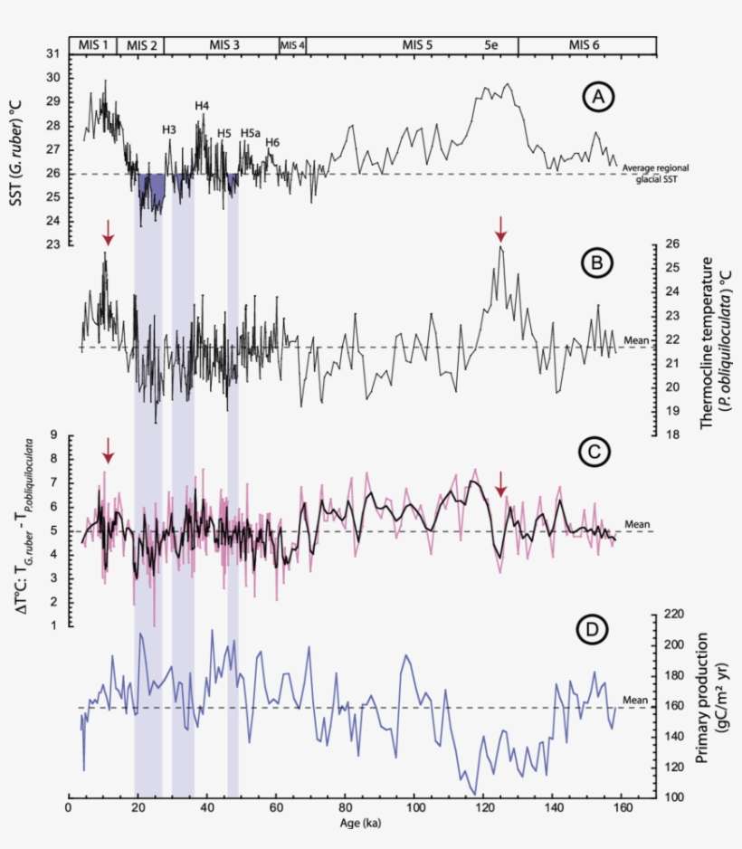 Records Of Surface‐to‐thermocline Temperature Contrast - Handwriting, transparent png download