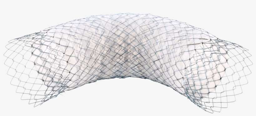 A - Fish, transparent png download