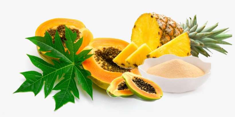 Natural Enzymes Manufacturers - Carica Papaya Leaf, transparent png download