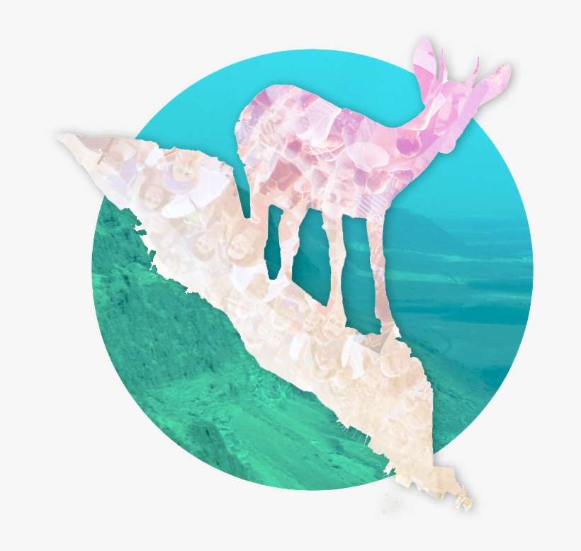 Hipster-deer3 - Reindeer, transparent png download