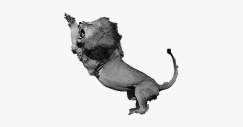 Fighting Lion Turned Into Stone - Lion, transparent png download