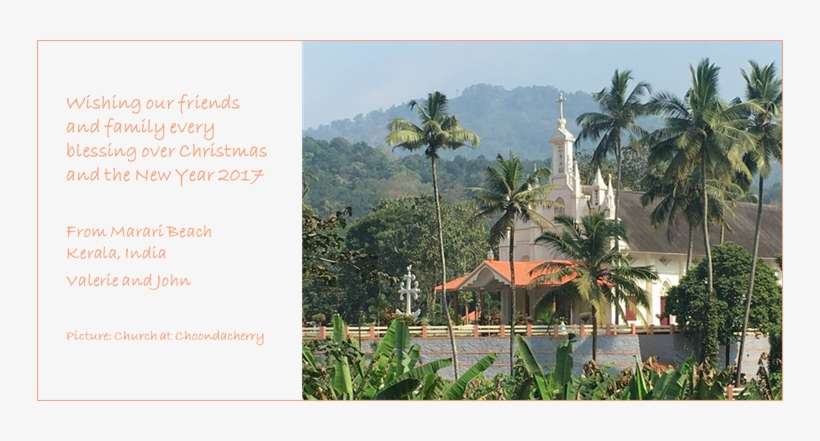 Akasha, The Universal Soul, And The Birth Of Christ - Attalea Speciosa, transparent png download