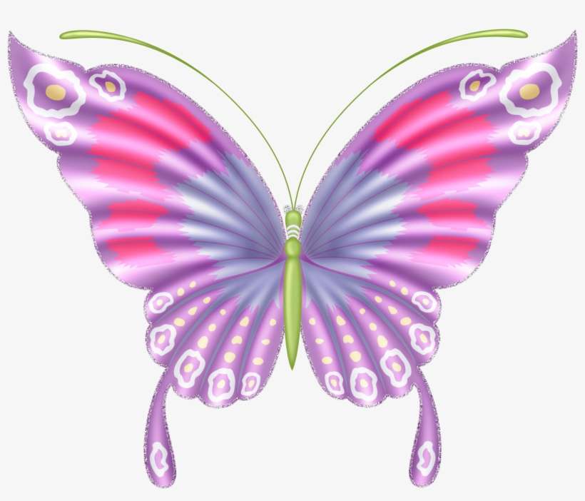 Butterfly, transparent png download