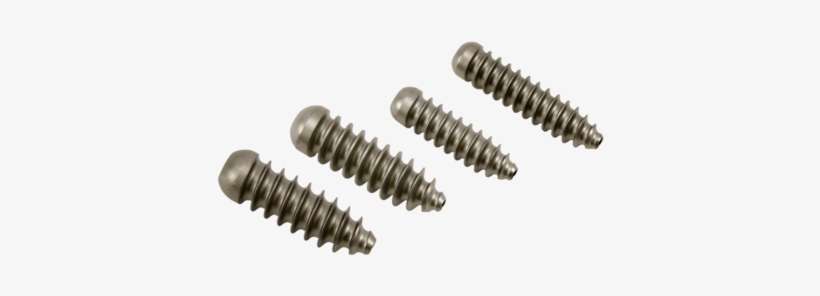 Soft Screws 0 Large - Metal Interference Screw, transparent png download