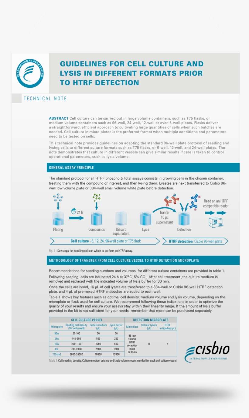 Adapt Your Cell Culture Plastic Or Glassware To Your - Cell, transparent png download