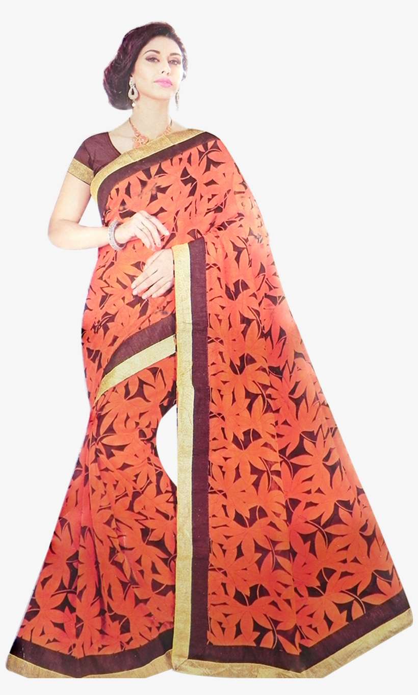 Sari, transparent png download