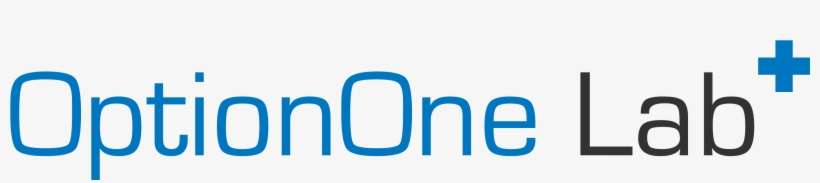 Optionone Lab Team - Boitnott & Schaben Llc, transparent png download