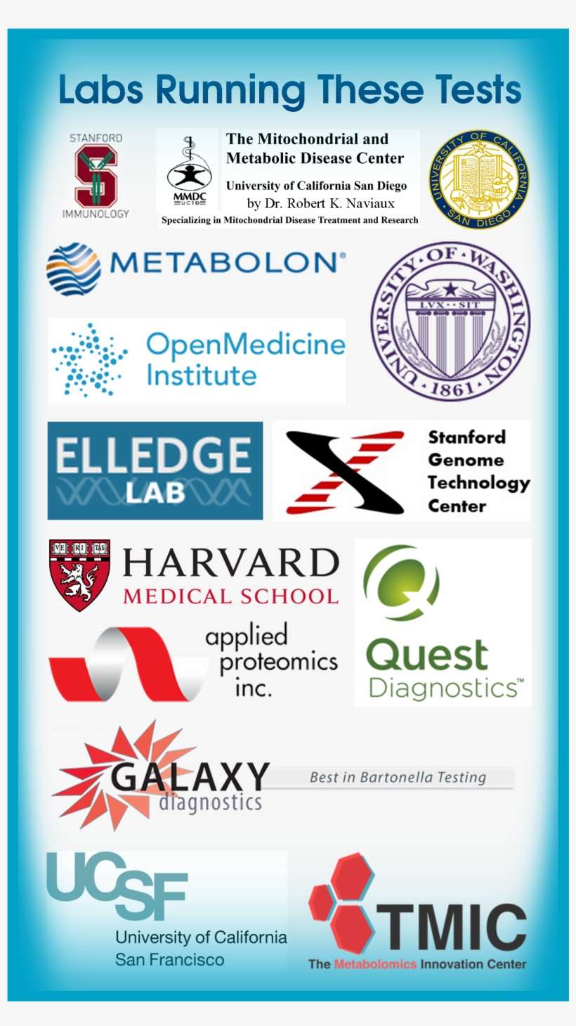 By Thoroughly Checking Blood, Urine, And Other Body - University Of Washington Logo Mens Baseball Shirts, transparent png download