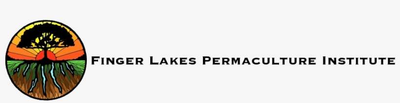 Read More At - Graphics, transparent png download