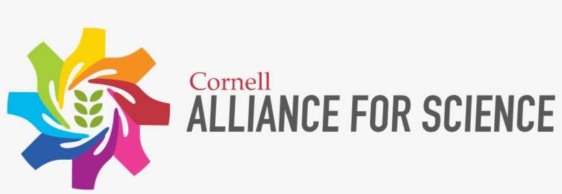 T Be Such A Scientist, transparent png download