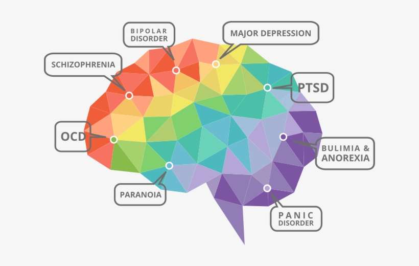 Diagram Showing Various Mental Health Disorders That - Mental Disorders, transparent png download