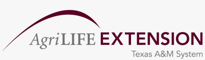 Agrilife Extension System 2color - Texas Agrilife Extension, transparent png download