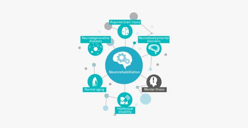 Infografia De Discapacidad Intelectual, transparent png download