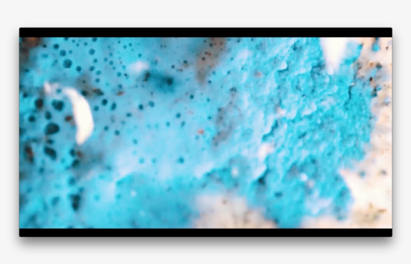 Screen Shot 2015 10 05 At - Macro Photography, transparent png download