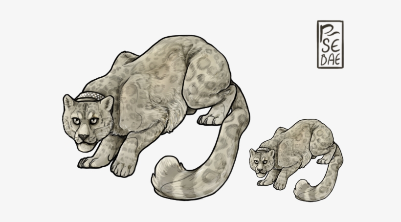 Snow Leopard - Domestic Short-haired Cat, transparent png download