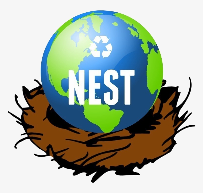 Clipart Bird Nest, transparent png download